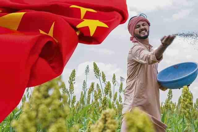 China has quietly choked off key fertiliser exports to India.