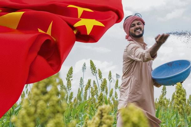 China has quietly choked off key fertiliser exports to India.