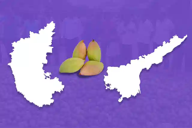 Karnataka's mango farmers are reliant on factories in Andhra Pradesh for pulp processing.