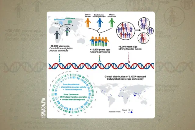 Graphical Abstract of Kerdoncuff et al., 2025, Cell 188, 3389–3404