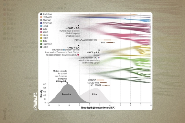 Heggarty et al. 'Language trees with sampled ancestors support a
hybrid model for the origin of Indo-European languages', 2023