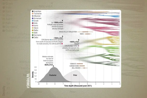 Heggarty et al. 'Language trees with sampled ancestors support a
hybrid model for the origin of Indo-European languages', 2023