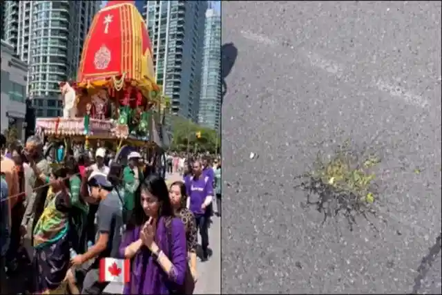 Eggs allegedly thrown from a nearby building disrupt Toronto’s Rath Yatra procession. (Pic Via X)