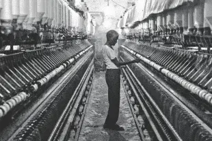 MSMEs form the foundation of economic resilience, employment, and grassroots innovation.