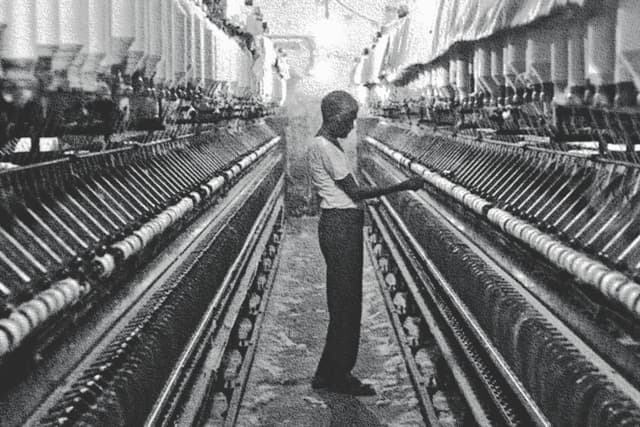 MSMEs form the foundation of economic resilience, employment, and grassroots innovation.