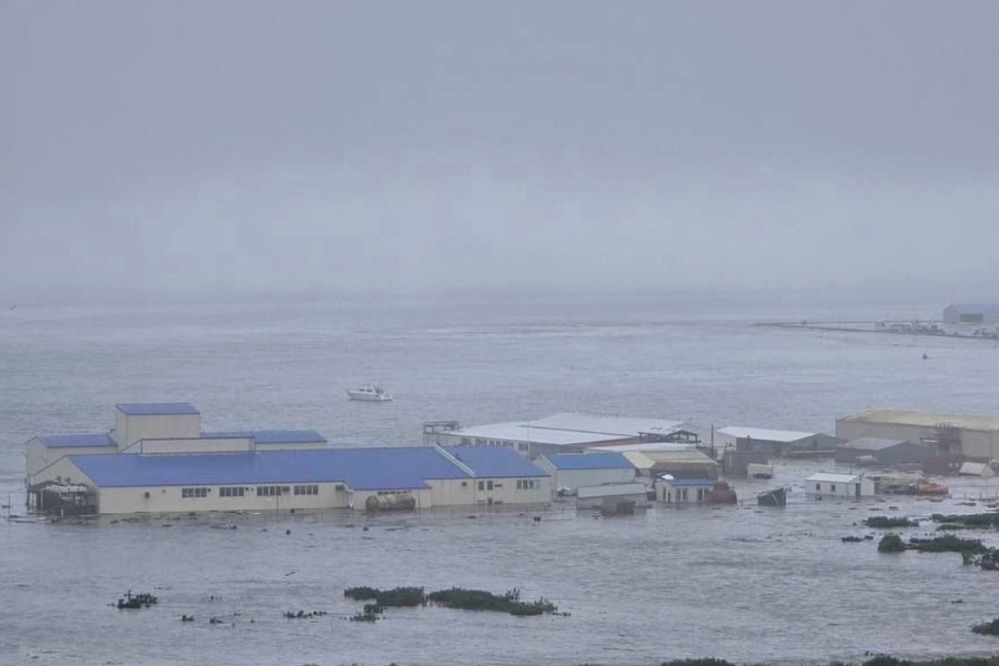 Tsunami in japan facts