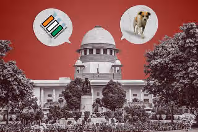 A spate of recent Supreme Court decisions reeks of excessive judicial overreach and interference.