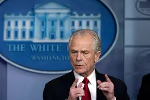 White House trade adviser Peter Navarro. (File Photo)