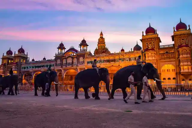The transformation from Jambi Savari to "Jumbo Savari" represents the successful secularisation campaign of Dasara.