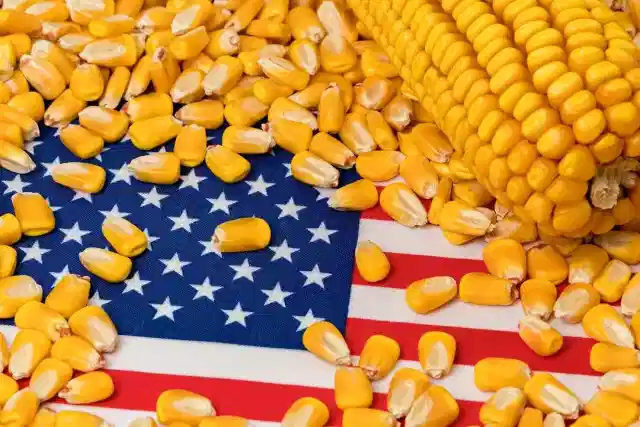 For the United States, corn is the country’s single largest agricultural product. (Getty Images)