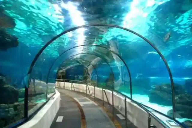 Assam’s Rs 16,000 crore Underwater Tunnel Under Brahmaputra Awaits Cabinet Nod (X)