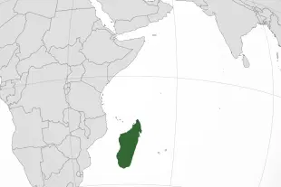 Madagascar lies along the western rim of the Indian Ocean, off the coast of southern Africa, placing it within India’s extended maritime neighbourhood.