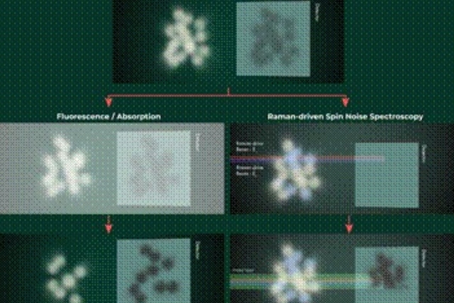 Indian Scientists Open New Window Into Quantum World With Non-Invasive Method To Measure Atom Density In Real Time