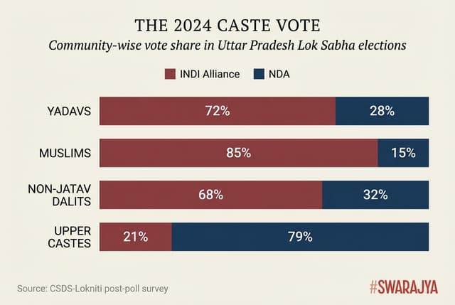 Voting patterns by caste group in UP 2024 (who voted for whom).
